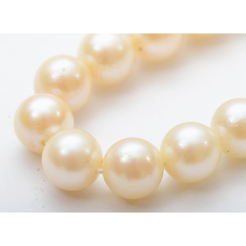 125 - A uniform 7mm bead cultured pearl necklace, 61cm, to a 9ct gold and pearl cluster clasp