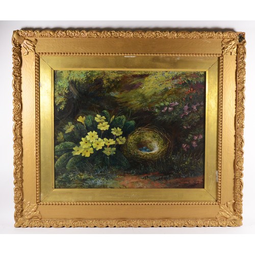 414 - G Stainton (Early 19th century), still life of daffodils and birds nest, oil on canvas signed and da... 