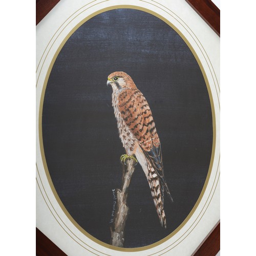 501 - David Shepherd (Doncaster), a pair, Male and Female Kestrel, acrylic on paper, oval, 40 x 30cm