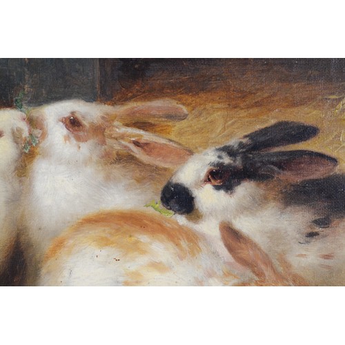 505 - Henry Garland (fl. 1854-1890), rabbits by a plate, oil on canvas, oil on canvas, signed, 26 x 37cm