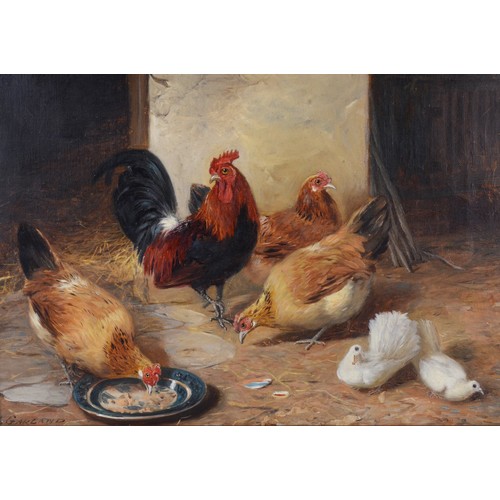 506 - Henry Garland (fl. 1854-1890), chickens and doves, oil on canvas, signed, 26 x 37cm