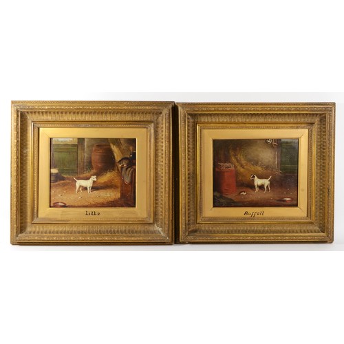 507 - W.E. Turner (late 19th century), a pair, 