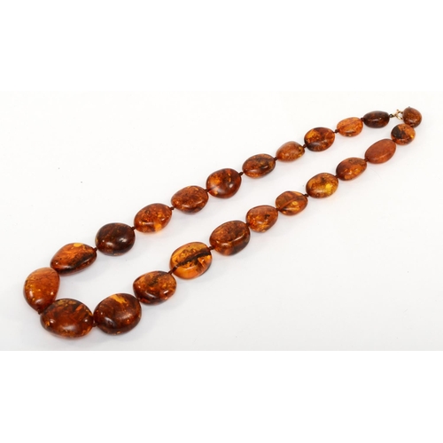 373 - A graduating Baltic amber necklace with 9k gold clasp, 2 - 3.5 cm beads, 99.7gm.