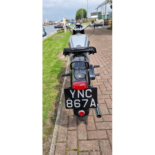 561 - 1954 BSA C11, 249cc. Registration number YNC 867A. Frame number BC11 541002. Engine number BC11 1162... 