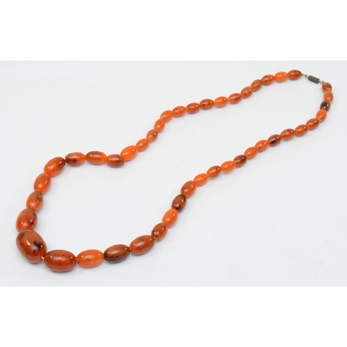 146 - A butterscotch amber Bakelite graduated beaded necklace, 14 - 29mm beads, 59gm.