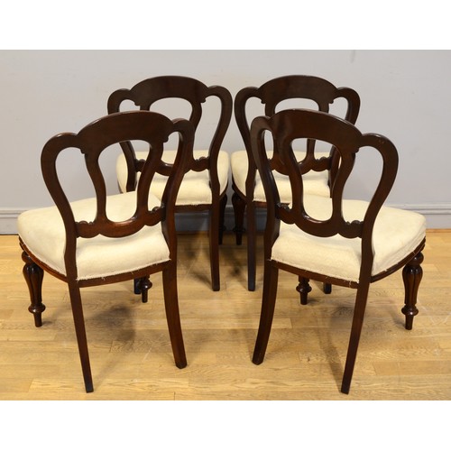 441 - A set of four 19th century Irish Chippendale style mahogany framed dining chairs, with recently upho... 