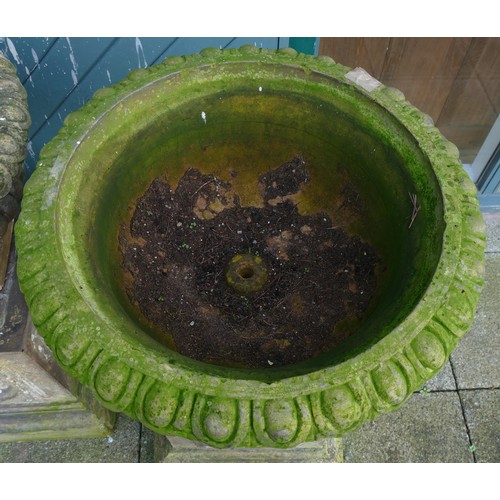 459 - A pair 20th century concrete garden urns, raised on carved rectangular plinth, 100cm high