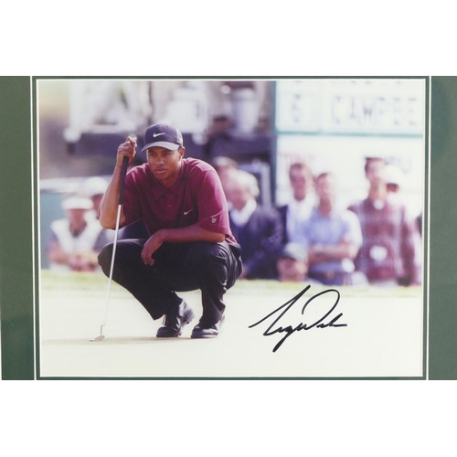 312 - Tigers Tales, a framed set of thirty trading cards together with a signed photograph of Tiger Woods,... 