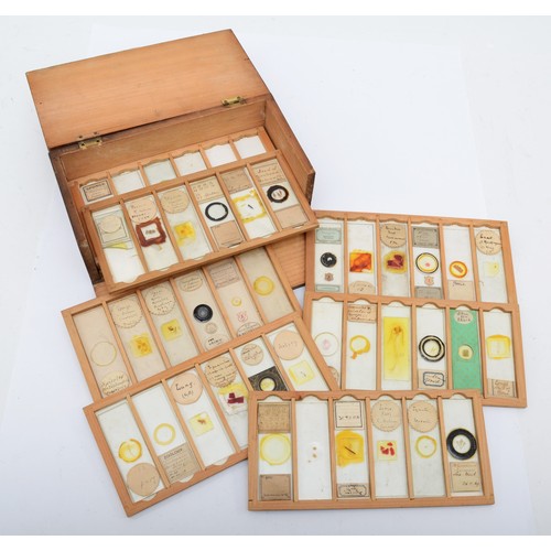 421 - A 19th century collection of microscope slides, twelve trays, labels to include Prize Medal Paris 18... 