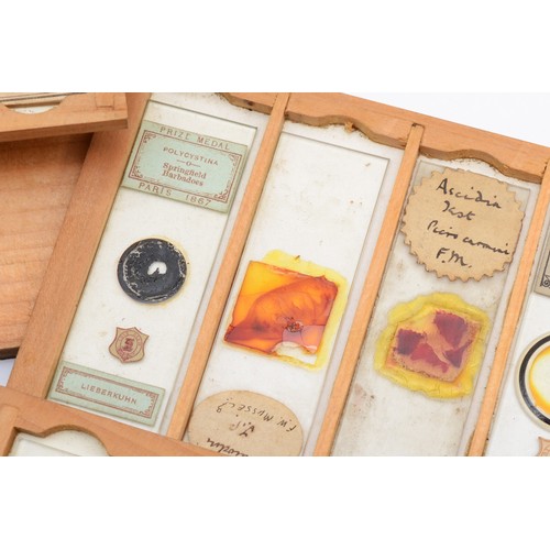 421 - A 19th century collection of microscope slides, twelve trays, labels to include Prize Medal Paris 18... 