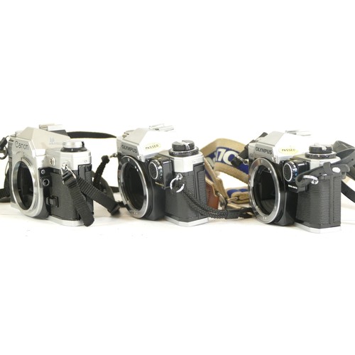 437 - Three assorted cameras to comprising of two Olympus OM10 camera bodies and a Canon AE-1 camera body ... 