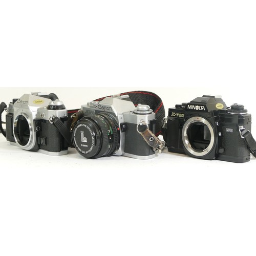 438 - Two camera bodies comprising of a Canon AE-1 Program, Minolta X-700 together with a Canon AV-1 camer... 