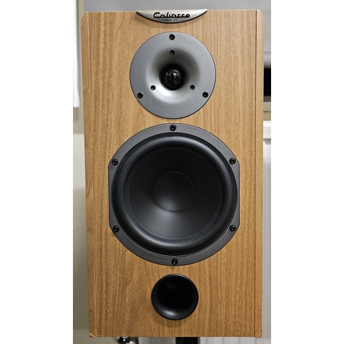 244 - A pair of Cabasse enc1063 speakers with floor stands