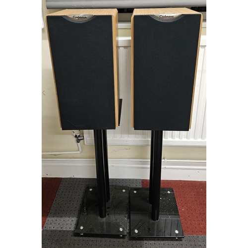 244 - A pair of Cabasse enc1063 speakers with floor stands