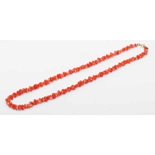 235 - A 750 gold clasped coral necklace, 41cm.