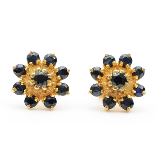 371 - A pair of 9ct gold sapphire floral cluster earrings, 11mm, 2gm.