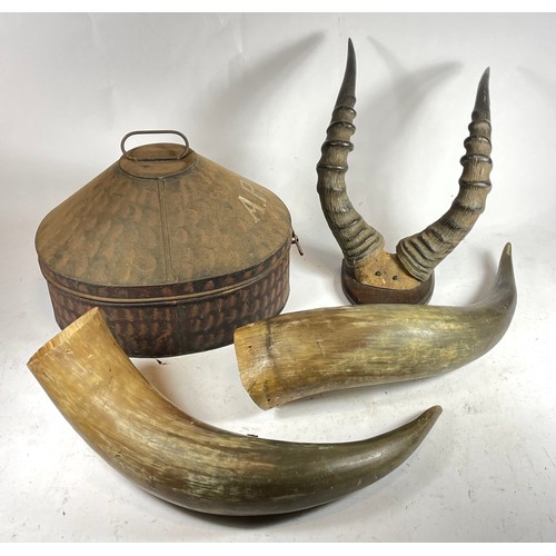 127 - A pair of 20th century mounted antelope horns, together with a pair of unmounted horns, two cameras ... 