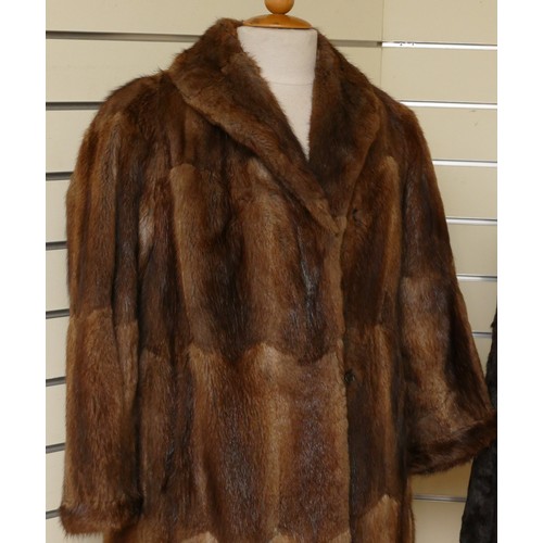 328 - Ladies Fur coats, mid brown and dark brown, lined, lovely quality, size 10/12. (2)