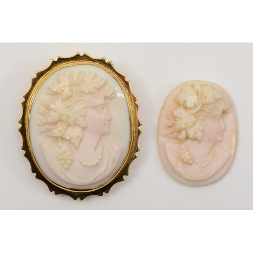 132 - A Victorian 9ct gold carved conch shell bacchante cameo, 37 x 30mm, 10gm, together with a loose conc... 