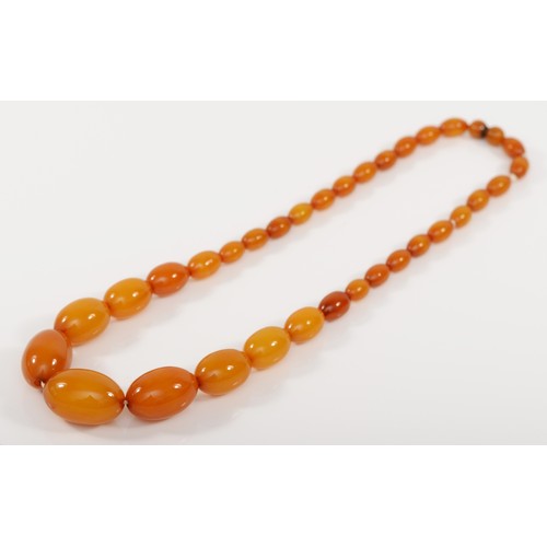 166 - A butterscotch amber Bakelite graduated bead necklace, 28 - 11mm beads, 50cm, 46gm