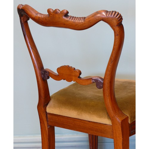 376 - A pair of George IV carved rosewood dining chairs, circa 1825 in the manner of Gillows, having later... 