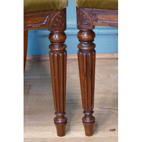 376 - A pair of George IV carved rosewood dining chairs, circa 1825 in the manner of Gillows, having later... 