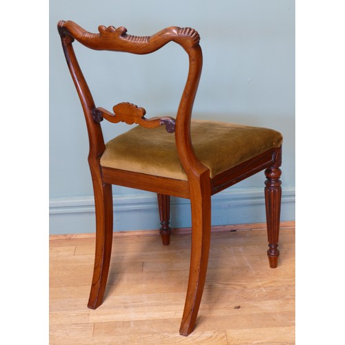 376 - A pair of George IV carved rosewood dining chairs, circa 1825 in the manner of Gillows, having later... 