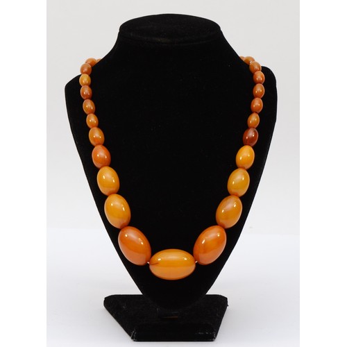 166 - A butterscotch amber Bakelite graduated bead necklace, 28 - 11mm beads, 50cm, 46gm