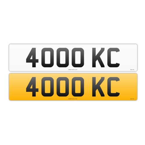 402 - Registration plate 