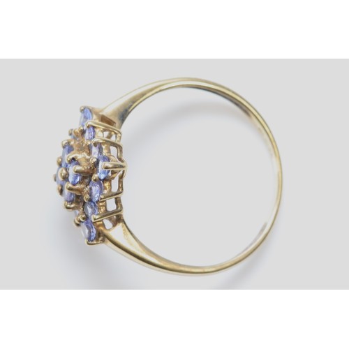 493 - A 9ct gold tanzanite cluster ring, S, 2.2gm.