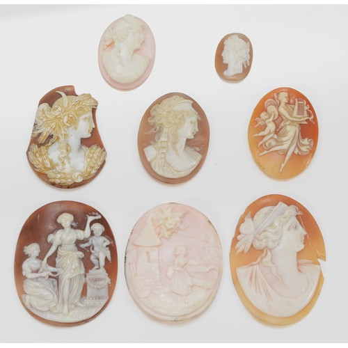 199 - An oval shell cameo depicting two maidens by Cupid, 48 x 38mm, two counch shell cameos and five othe... 