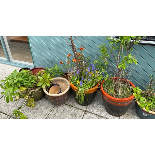 5 - A collection of glazed stoneware garden planters of various sizes.