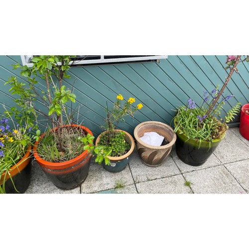 5 - A collection of glazed stoneware garden planters of various sizes.