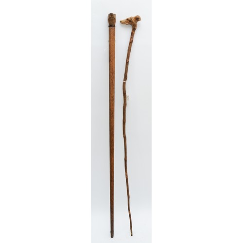 197 - A late 19th century carved fruitwood walking stick, the carved dogs head terminal with glass bead ey... 