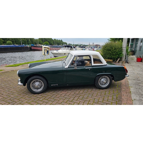 481 - 1971 Austin Healey Sprite Mk IV, 1275cc. Registration number YOX 967K. Chassis number AAN1087564. En... 