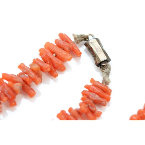 517 - A Victorian two row coral bead necklace, the largest bead 5mm, 46cm and a branch coral necklace