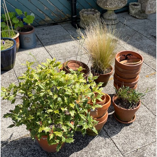 30 - A collection of terracotta garden planters, various sizes.