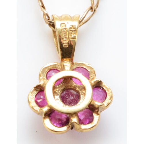 254 - A 9ct gold and ruby cluster pendant, 14mm, chain, 2.5gm