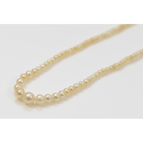 338 - A 9ct gold graduated cultured pearl necklace, 1.9g