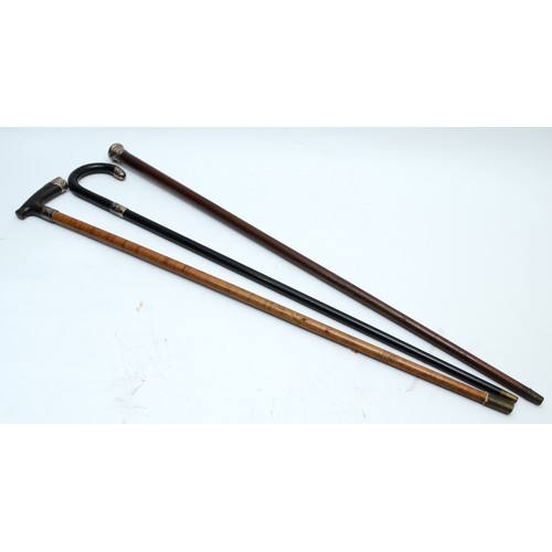 304 - A silver mounted hardwood cane, Birmingham 1894?, 89cm and two other silver mounted walking sticks, ... 