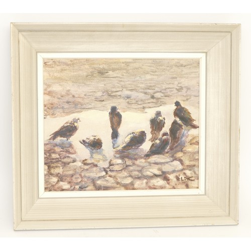 95 - A modern oil on board, depicting a group of rock doves drinking from a stream, 29x24cm.