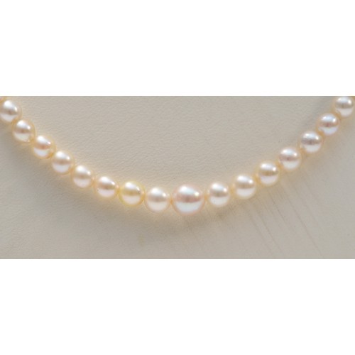 342 - A 9ct gold graduated cultured pearl necklace, largest pearl is 4mm, 8.4g