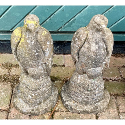 423 - A pair of reconstituted stone models of Falcons, 47cm