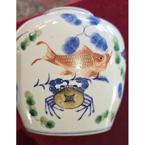 326 - A Chinese Qing period ginger jar and cover, decorated with various fish including koi carp, a crab a... 