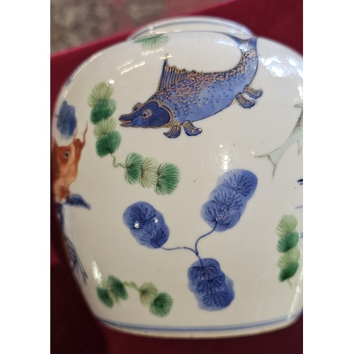 326 - A Chinese Qing period ginger jar and cover, decorated with various fish including koi carp, a crab a... 