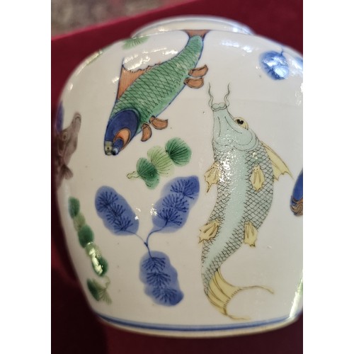 326 - A Chinese Qing period ginger jar and cover, decorated with various fish including koi carp, a crab a... 