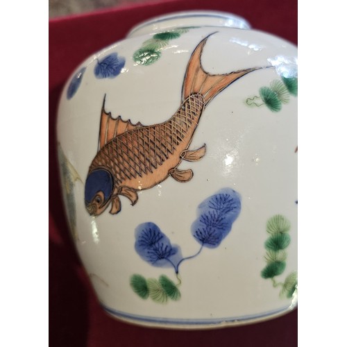 326 - A Chinese Qing period ginger jar and cover, decorated with various fish including koi carp, a crab a... 