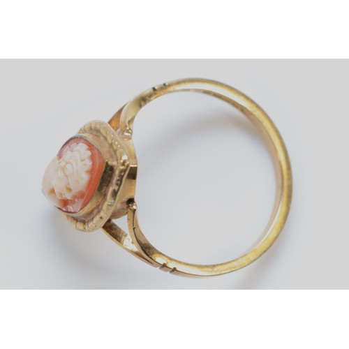 581 - A 9ct gold shell cameo dress ring, K 1/2, 2.4g