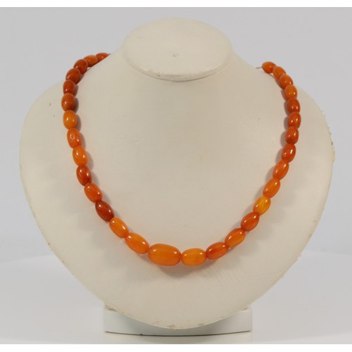 598 - A 9ct gold Baltic amber necklace, 10.9g