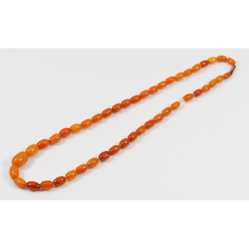 598 - A 9ct gold Baltic amber necklace, 10.9g